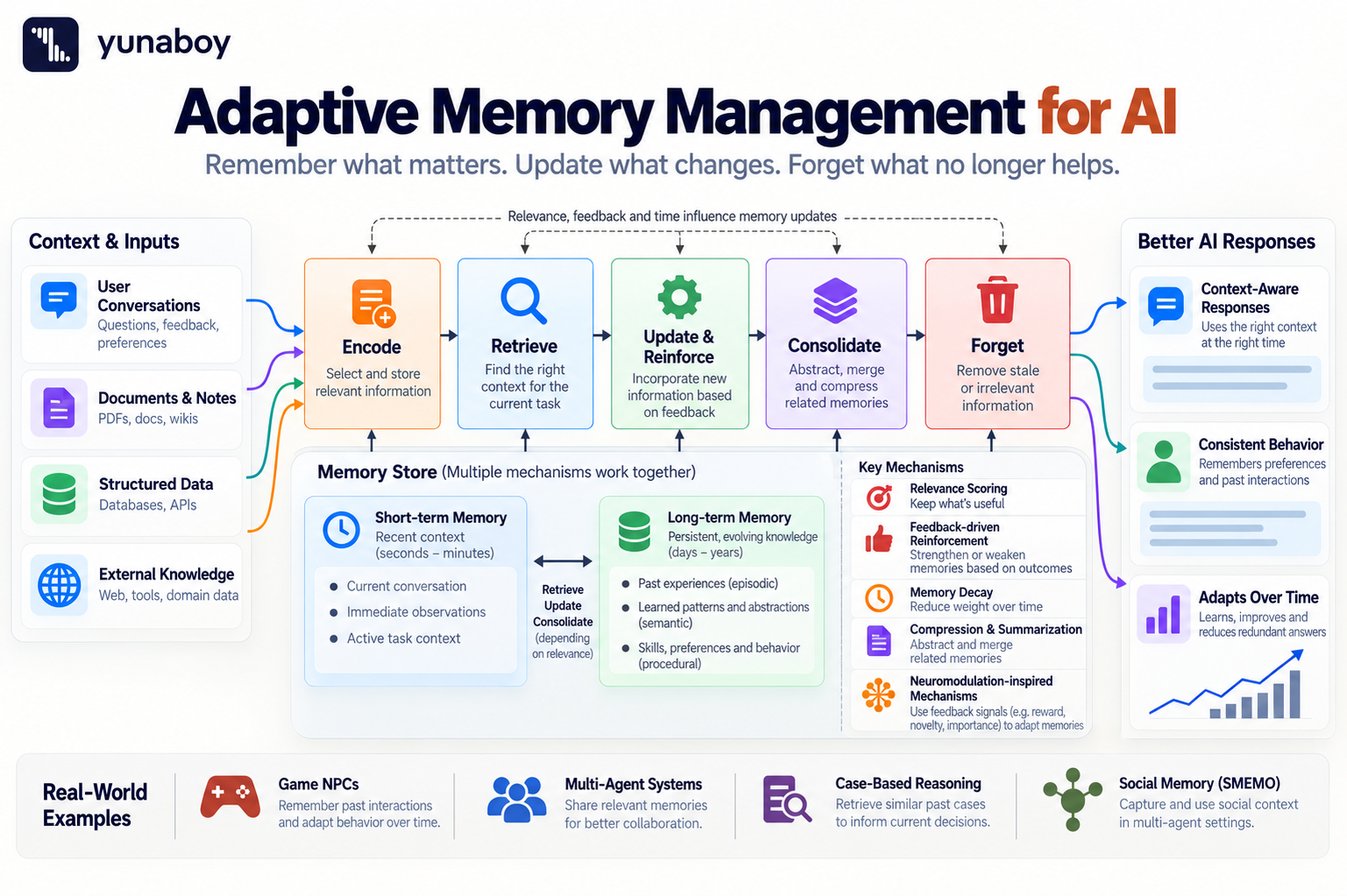 Adaptive memory management for AI showing memory encoding, retrieval, reinforcement, consolidation, and forgetting across short-term and long-term memory.
